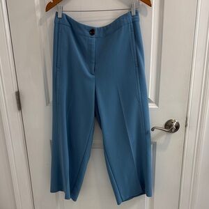 Ann Taylor- Kate wide leg Blue Women's Pants